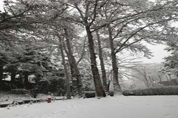 زمستان در دانشگاه